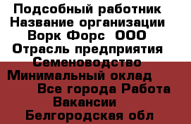 Подсобный работник › Название организации ­ Ворк Форс, ООО › Отрасль предприятия ­ Семеноводство › Минимальный оклад ­ 30 000 - Все города Работа » Вакансии   . Белгородская обл.